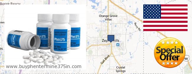 Where to Buy Phentermine 37.5 online Zephyrhills FL, United States