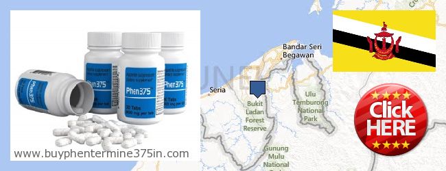 Wo kaufen Phentermine 37.5 online Brunei