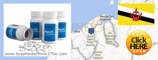 Kde kúpiť Phentermine 37.5 on-line Brunei